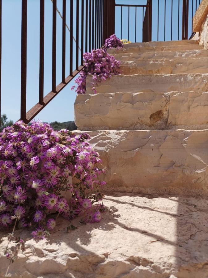 Villetta Cipolliane Santa Maria di Leuca Dış mekan fotoğraf