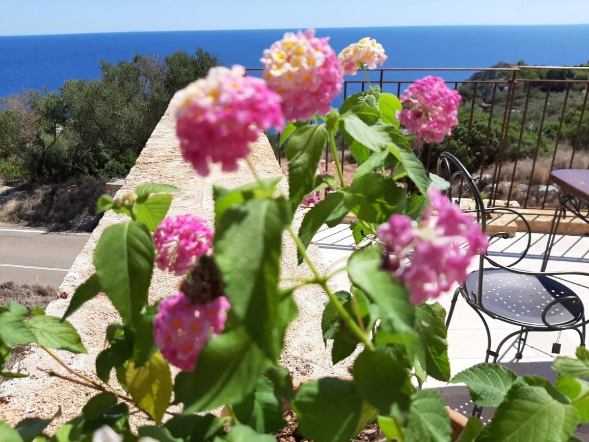 Villetta Cipolliane Santa Maria di Leuca Dış mekan fotoğraf